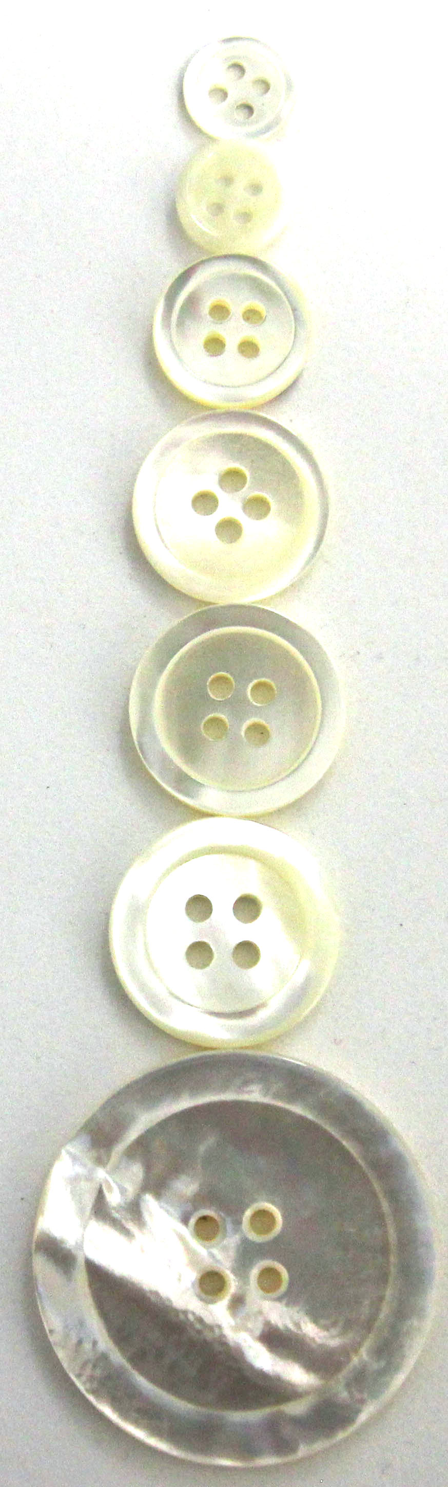 Mother of pearl 4 hole rimmed buttons